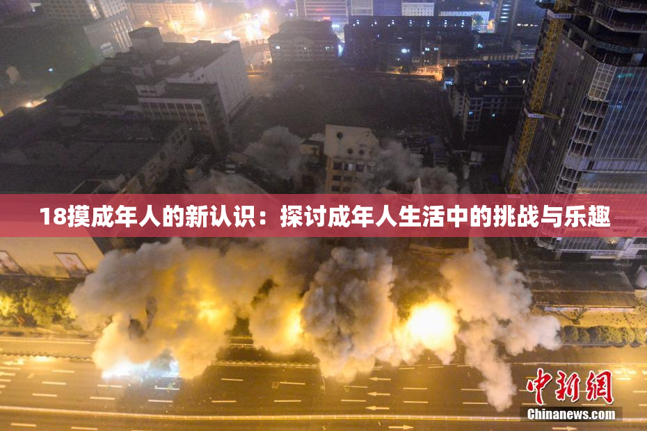 18摸成年人的新认识：探讨成年人生活中的挑战与乐趣