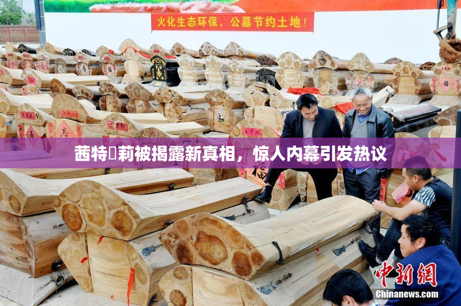 茜特菈莉被揭露新真相，惊人内幕引发热议