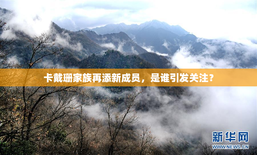 卡戴珊家族再添新成员，是谁引发关注？