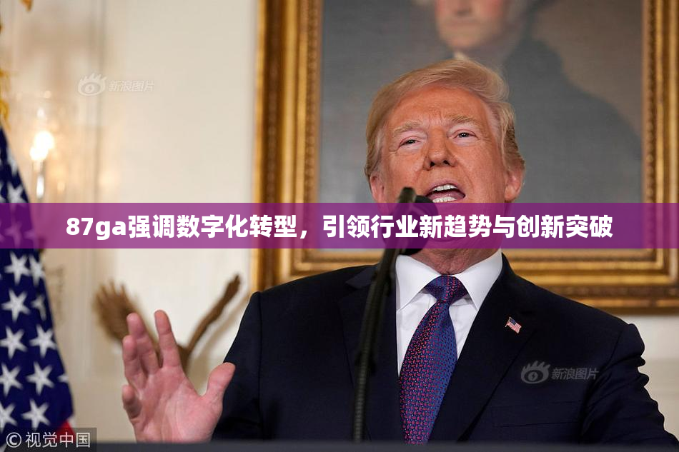 87ga强调数字化转型，引领行业新趋势与创新突破