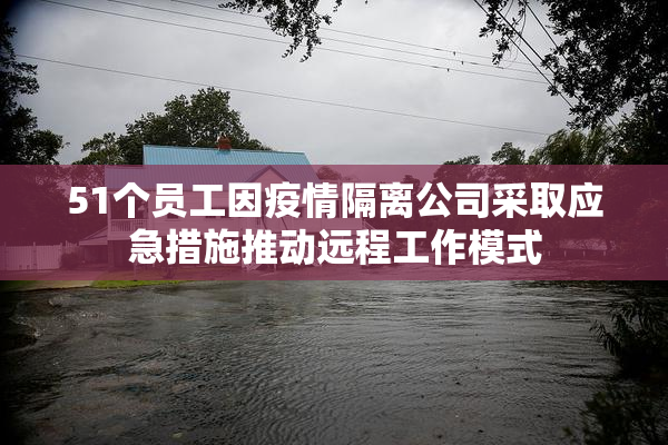 51个员工因疫情隔离公司采取应急措施推动远程工作模式