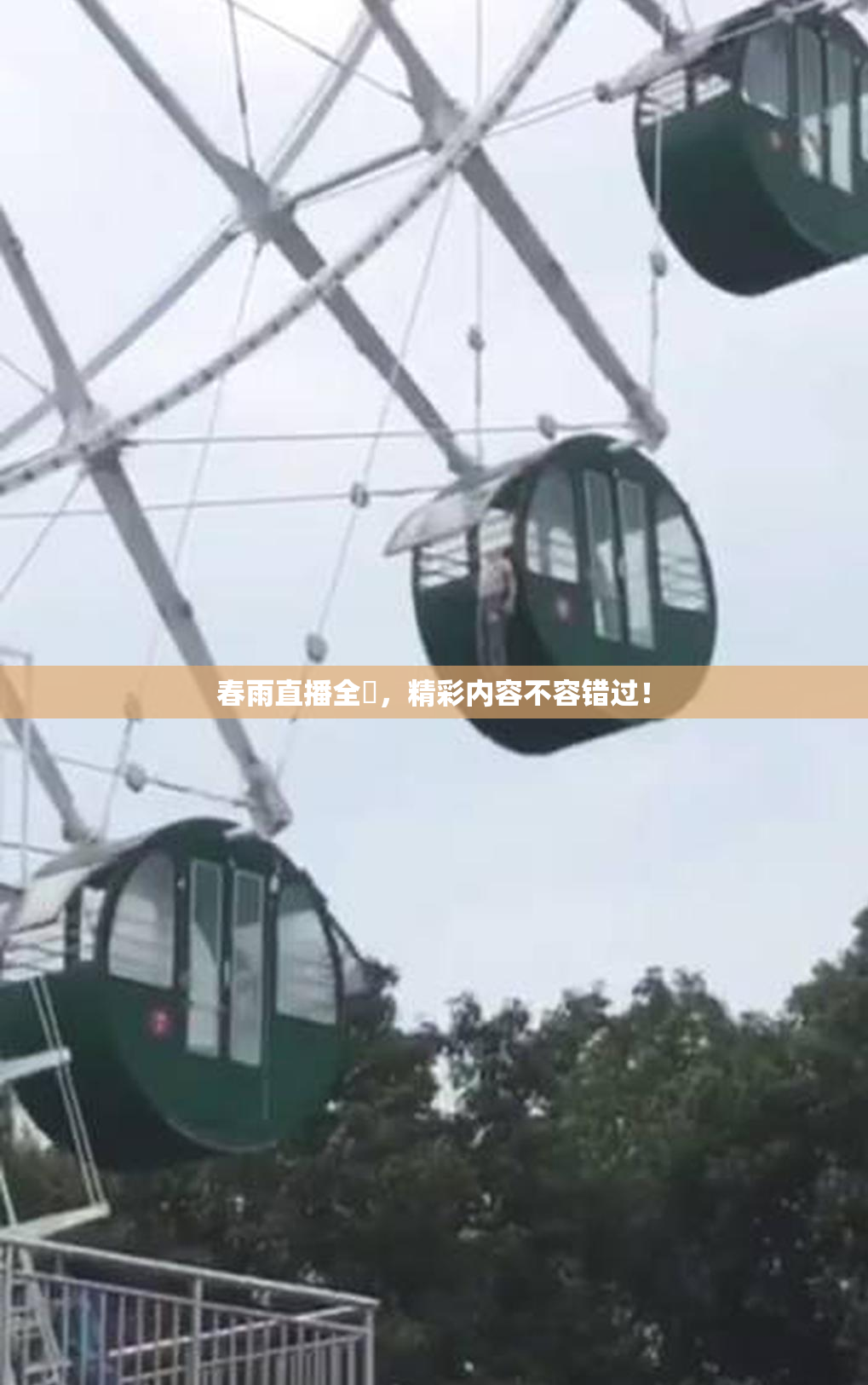 春雨直播全婐，精彩内容不容错过！
