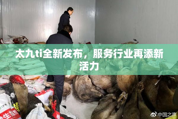 太九ti全新发布，服务行业再添新活力