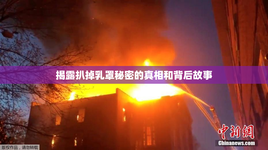揭露扒掉乳罩秘密的真相和背后故事