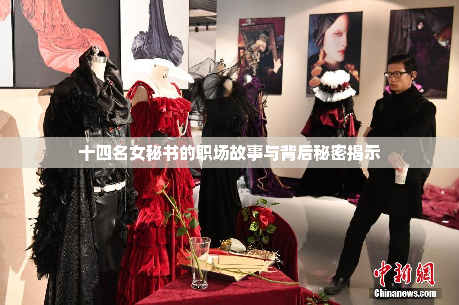 十四名女秘书的职场故事与背后秘密揭示