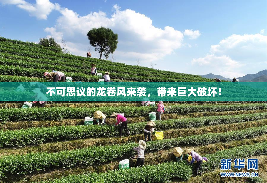 不可思议的龙卷风来袭，带来巨大破坏！