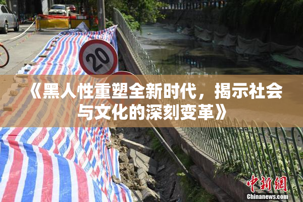 《黑人性重塑全新时代，揭示社会与文化的深刻变革》