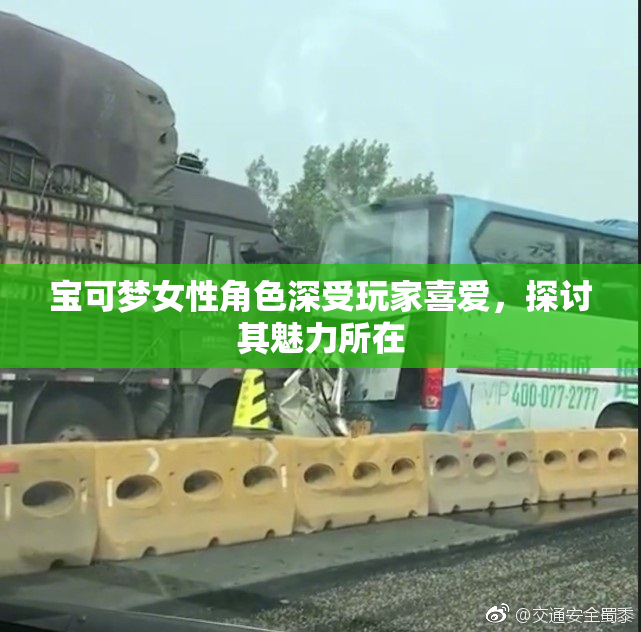 宝可梦女性角色深受玩家喜爱，探讨其魅力所在