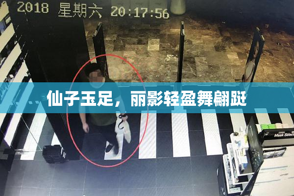 仙子玉足，丽影轻盈舞翩跹