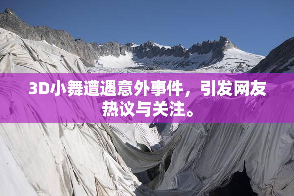 3D小舞遭遇意外事件，引发网友热议与关注。