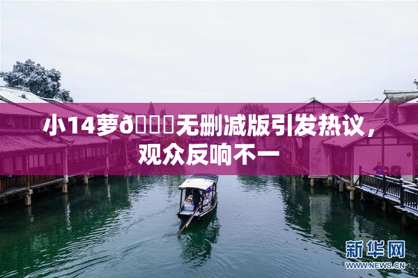 小14萝🔞无删减版引发热议，观众反响不一