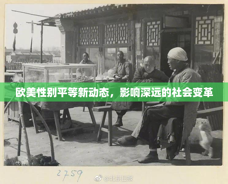 欧美性别平等新动态，影响深远的社会变革