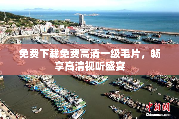 免费下载免费高清一级毛片，畅享高清视听盛宴