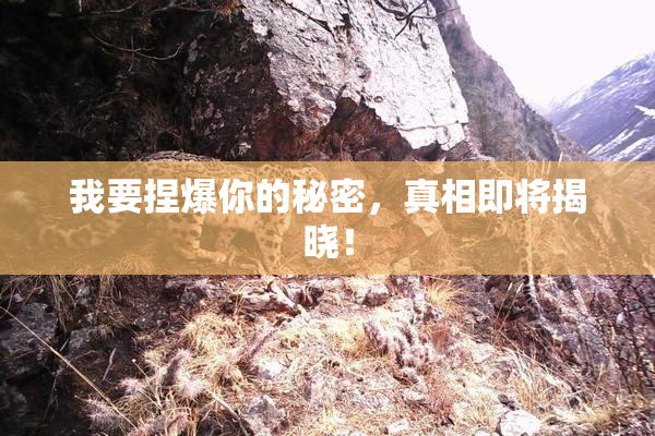 我要捏爆你的秘密，真相即将揭晓！