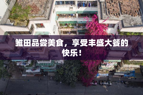 雏田品尝美食，享受丰盛大餐的快乐！