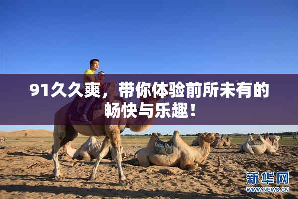 91久久爽，带你体验前所未有的畅快与乐趣！