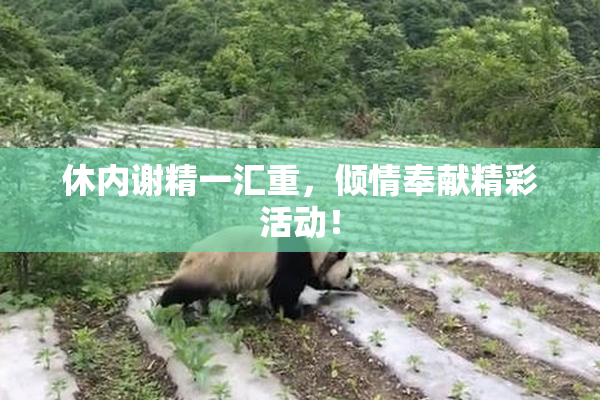休内谢精一汇重，倾情奉献精彩活动！