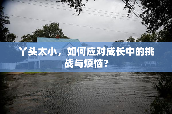 丫头太小，如何应对成长中的挑战与烦恼？