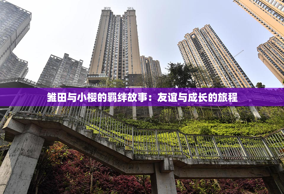 雏田与小樱的羁绊故事：友谊与成长的旅程