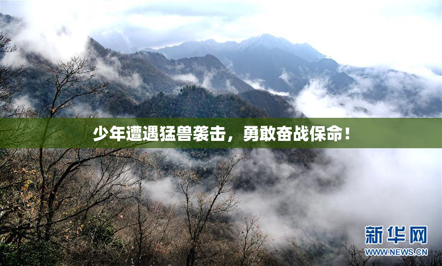 少年遭遇猛兽袭击，勇敢奋战保命！