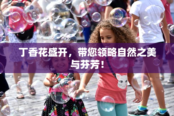 丁香花盛开，带您领略自然之美与芬芳！
