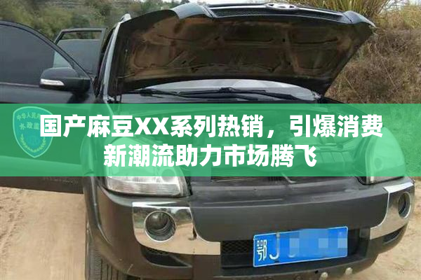 国产麻豆XX系列热销，引爆消费新潮流助力市场腾飞