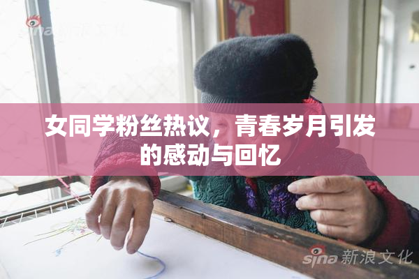 女同学粉丝热议，青春岁月引发的感动与回忆