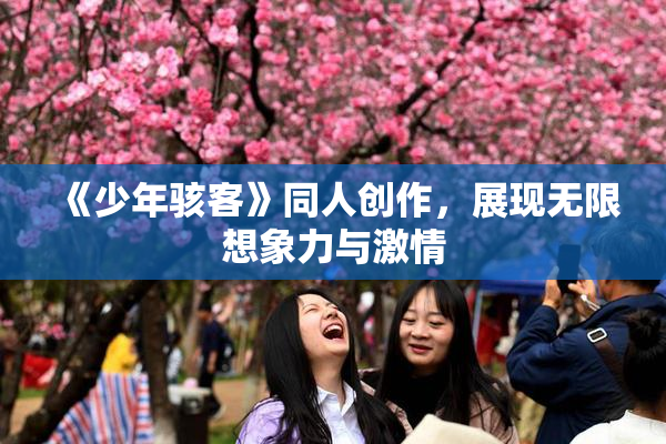 《少年骇客》同人创作，展现无限想象力与激情
