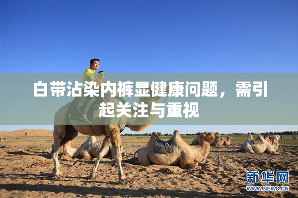 白带沾染内裤显健康问题，需引起关注与重视