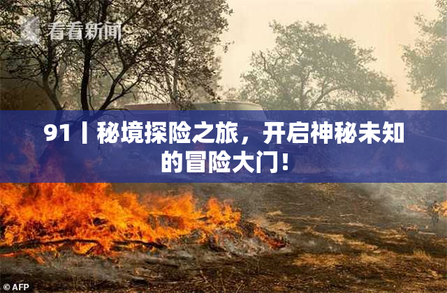 91丨秘境探险之旅，开启神秘未知的冒险大门！