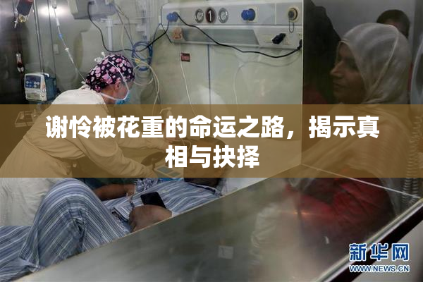 谢怜被花重的命运之路，揭示真相与抉择