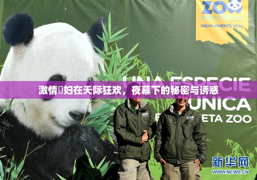 激情婬妇在天际狂欢，夜幕下的秘密与诱惑