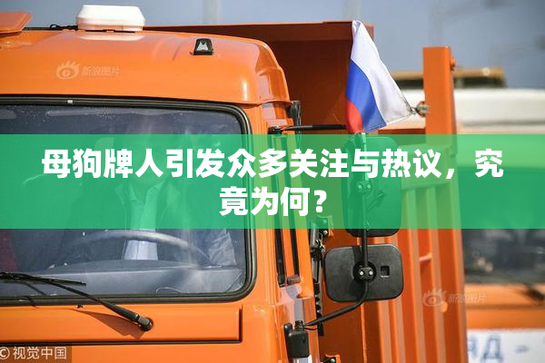 母狗牌人引发众多关注与热议，究竟为何？
