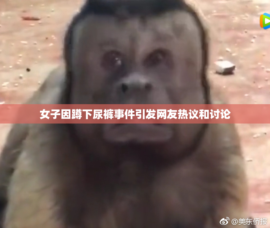 女子因蹲下尿裤事件引发网友热议和讨论