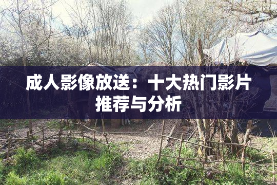成人影像放送：十大热门影片推荐与分析