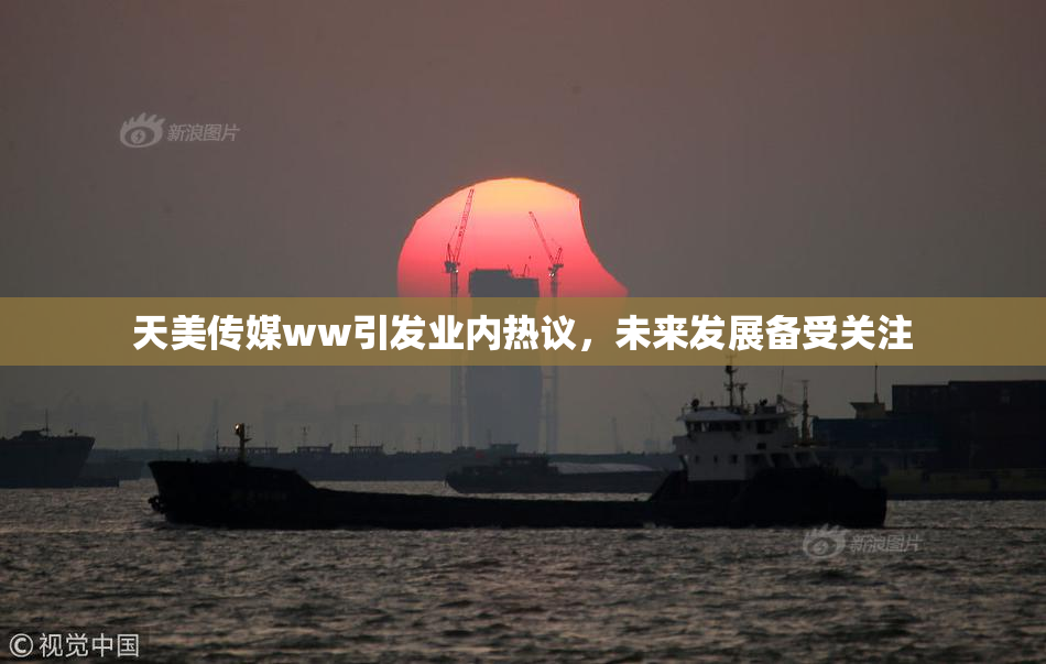 天美传媒ww引发业内热议，未来发展备受关注