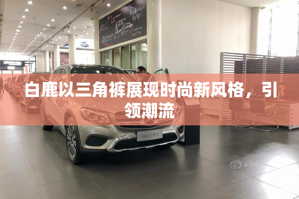 白鹿以三角裤展现时尚新风格，引领潮流