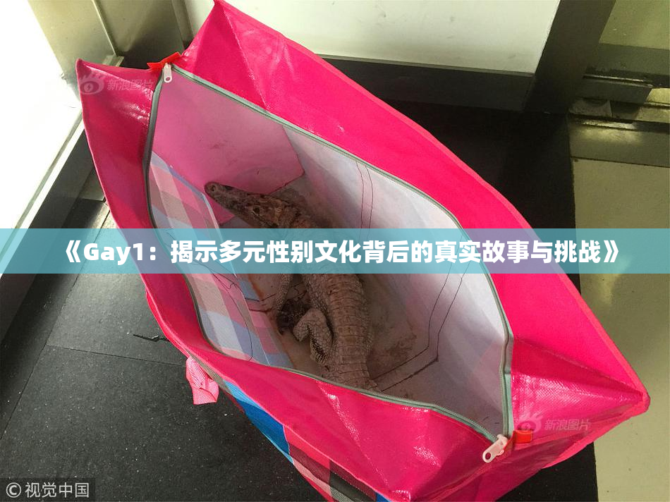 《Gay1：揭示多元性别文化背后的真实故事与挑战》