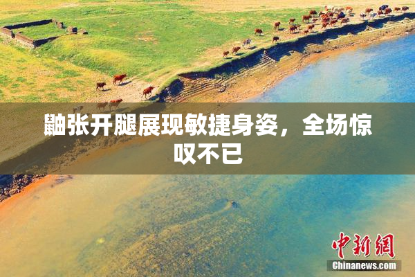 鼬张开腿展现敏捷身姿，全场惊叹不已