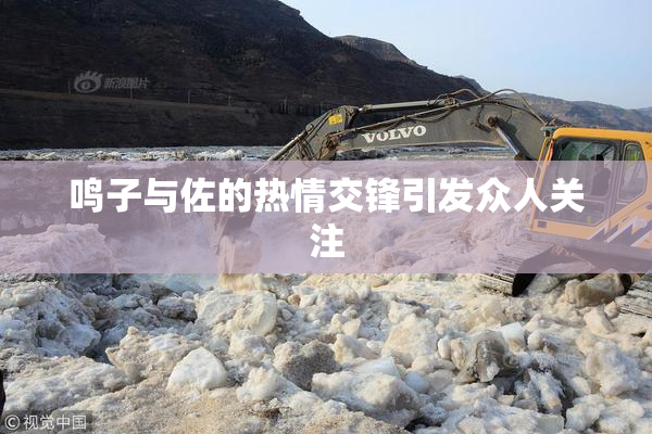 鸣子与佐的热情交锋引发众人关注