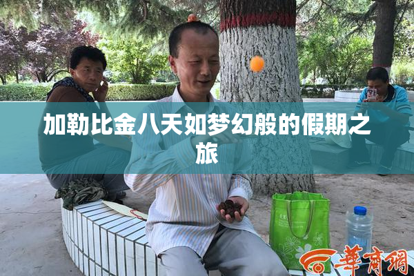 加勒比金八天如梦幻般的假期之旅