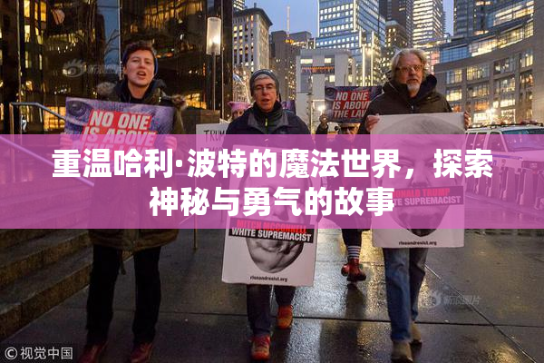 重温哈利·波特的魔法世界，探索神秘与勇气的故事