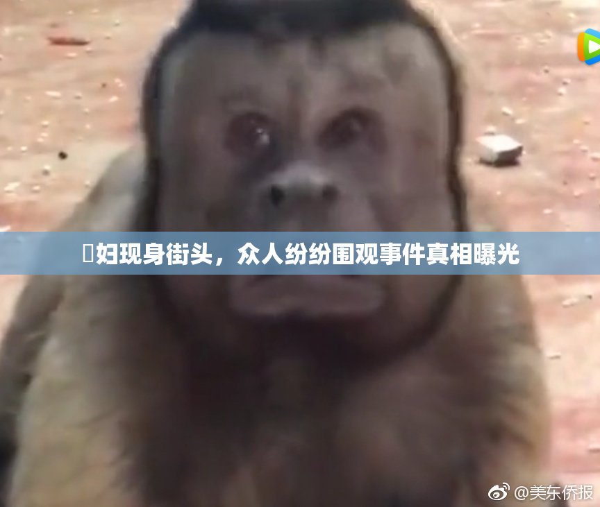 婬妇现身街头，众人纷纷围观事件真相曝光