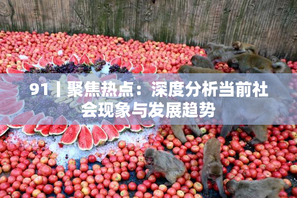 91丨聚焦热点：深度分析当前社会现象与发展趋势