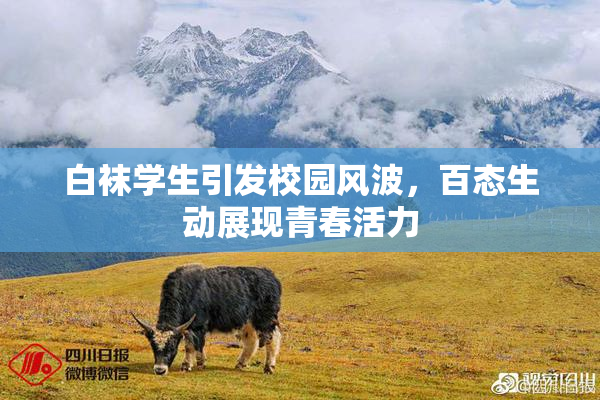 白袜学生引发校园风波，百态生动展现青春活力