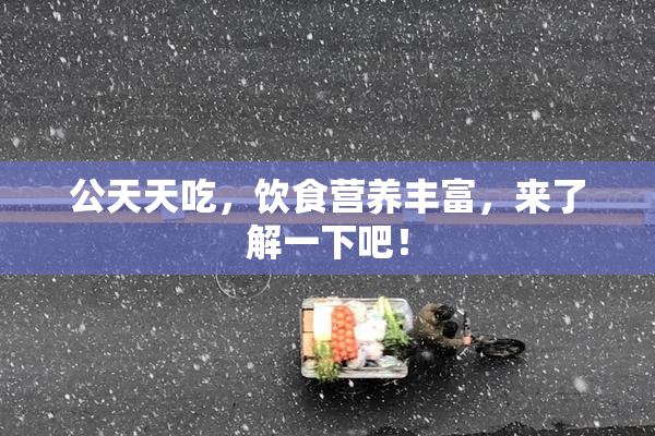 公天天吃，饮食营养丰富，来了解一下吧！