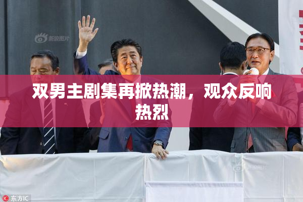 双男主剧集再掀热潮，观众反响热烈