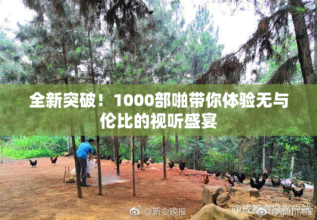 全新突破！1000部啪带你体验无与伦比的视听盛宴