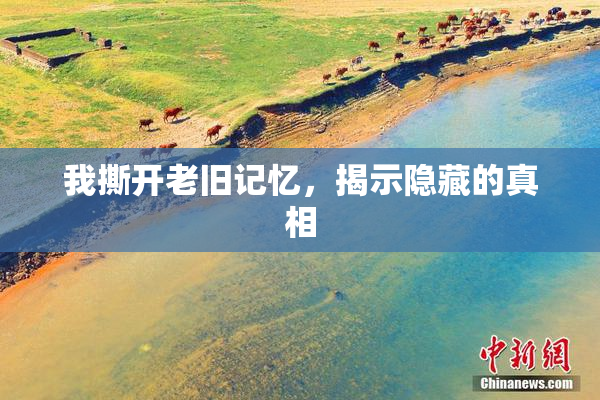 我撕开老旧记忆，揭示隐藏的真相