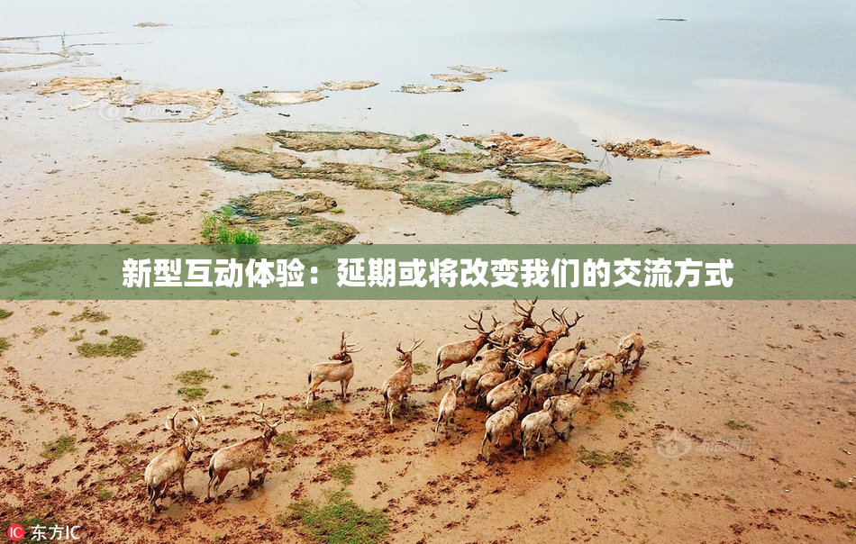 新型互动体验：延期或将改变我们的交流方式